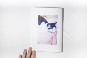 Елена Холкина. Your cat — изображение 2