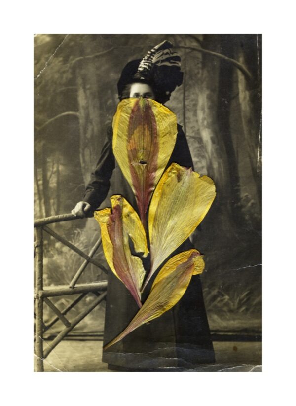 Юлия Бориссова. Бегство на край. Untitled III