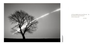 Michael Kenna. Forms of Japan — изображение 4