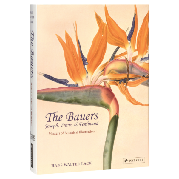 The Bauers: Joseph, Franz & Ferdinand Masters of Botanical Illustration