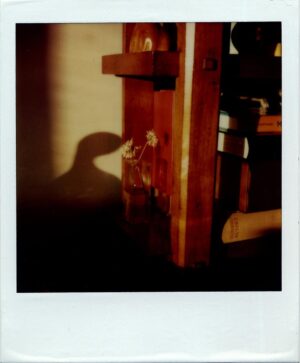 Andre Kertesz. The Polaroids — изображение 2