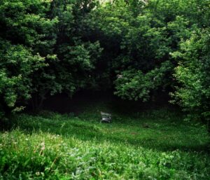 Юлия Абзалтдинова. Noise in the park II, 40х50