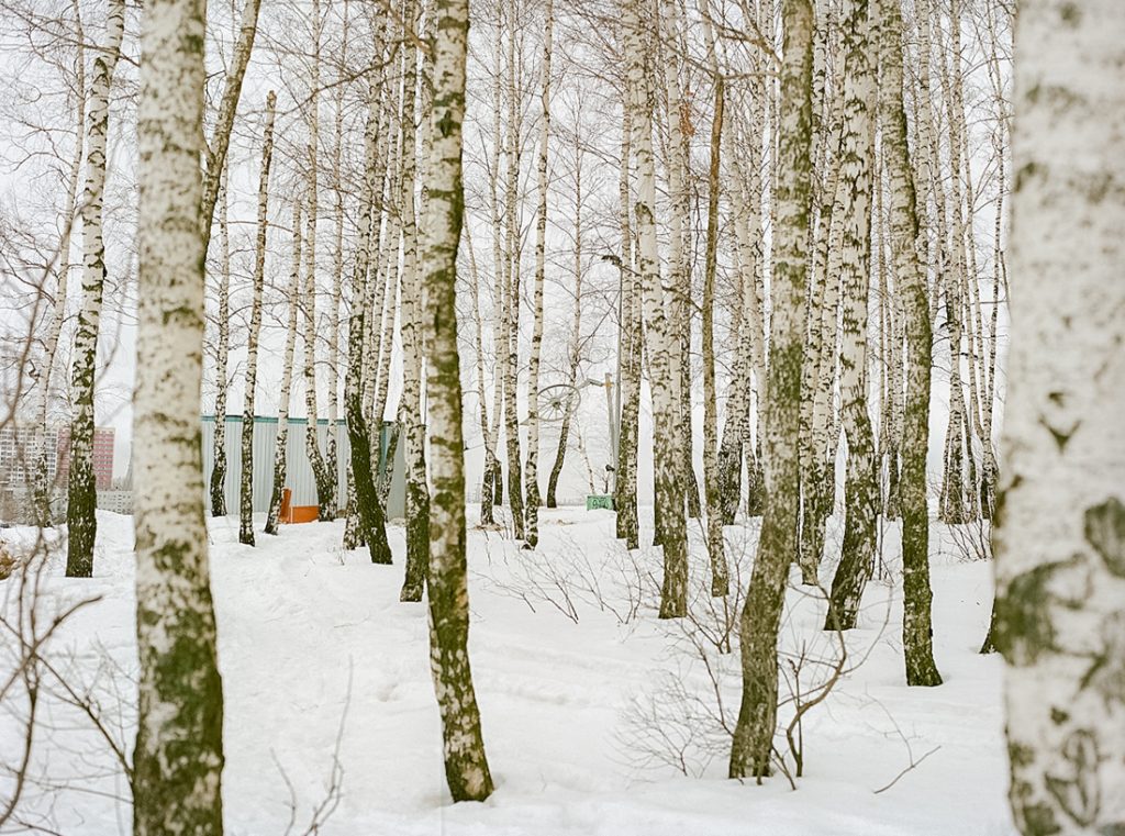 Юлия Абзалтдинова. Dzerzhinsky, 40х50