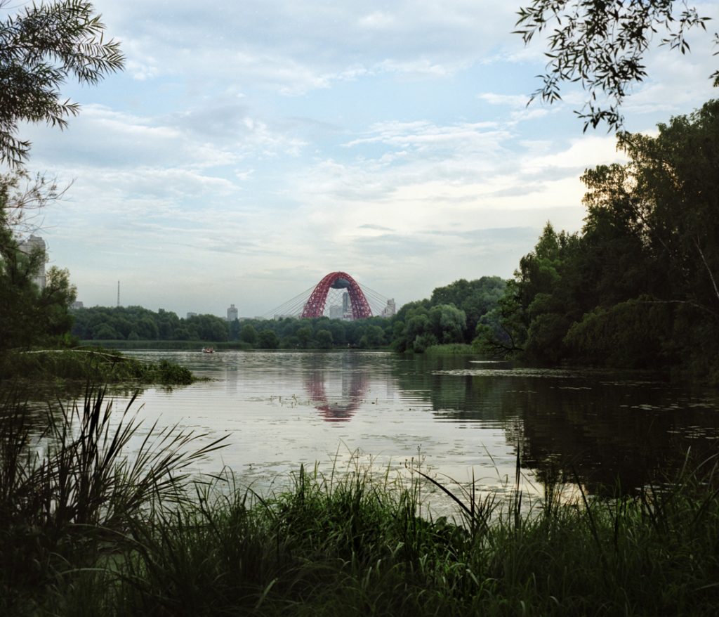 Юлия Абзалтдинова. Noise in the park I, 40х50