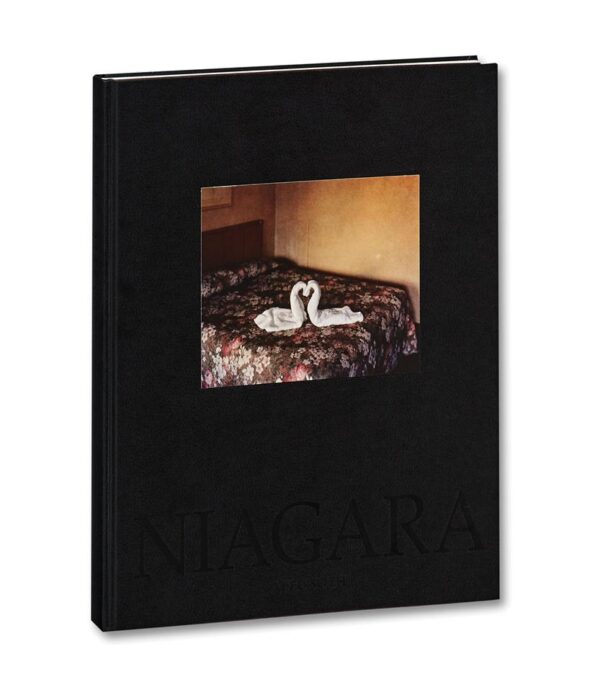 Alec Soth. Niagara
