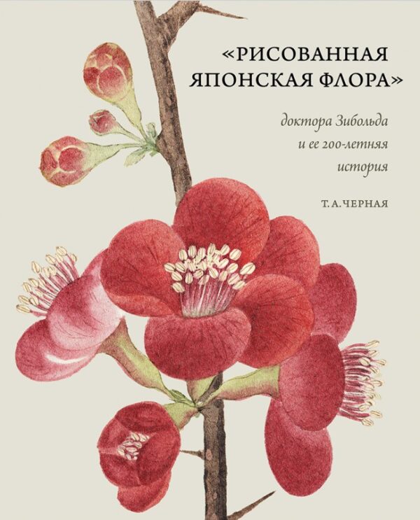 Тамара Черная. "Рисованная Японская Флора" доктора Зибольда и ее 200-летняя история