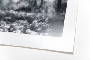 Людмила Таболина. Летний сад. Клумба. 30х40 — изображение 4