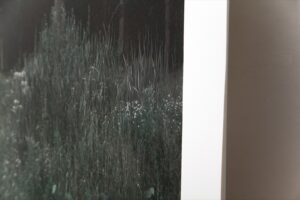 Станислав Марков. Untitled V — изображение 3