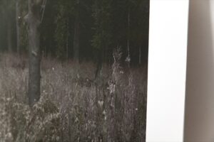 Станислав Марков. Untitled VI — изображение 3