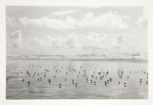 Robert Adams. Sea Stories — изображение 4