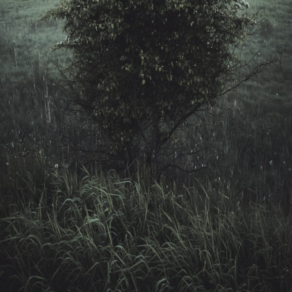 Станислав Марков. Untitled III