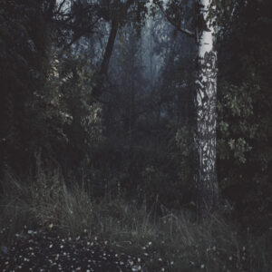 Станислав Марков. Untitled II