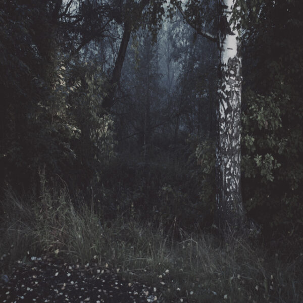 Станислав Марков. Untitled II