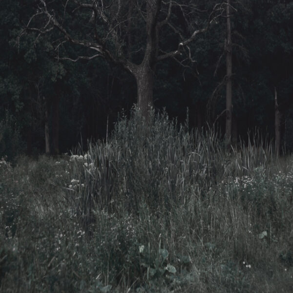 Станислав Марков. Untitled V