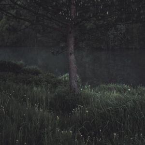 Станислав Марков. Untitled I