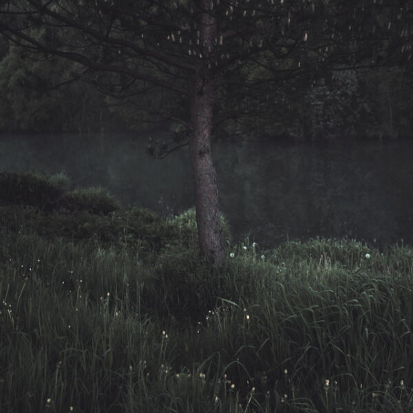 Станислав Марков. Untitled I