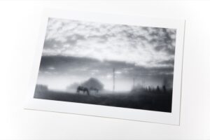 Людмила Таболина. Рассвет, 1999. 30х40