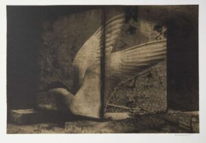 Минская школа фотографии. 1960-е — 2000-е — изображение 6