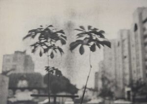 Минская школа фотографии. 1960-е — 2000-е — изображение 4