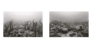 Hiroshi Sugimoto. Dioramas — изображение 3