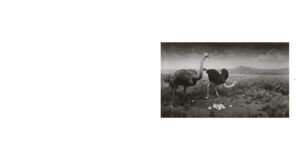 Hiroshi Sugimoto. Dioramas — изображение 4