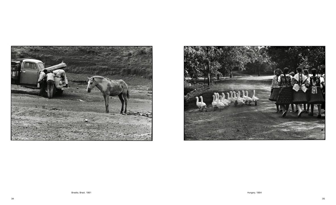 Elliott Erwitt. Catalogue — изображение 3