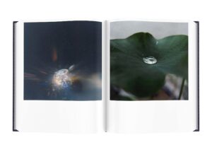 Rinko Kawauchi. Illuminance — изображение 2
