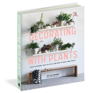 Baylor Chapman. Decorating with Plants — изображение 7