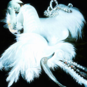 Даниил Макаров. Swan. 30x30