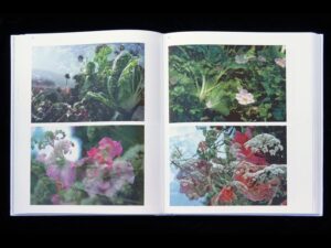 Through the Looking Brain. A Swiss Collection of Conceptual Photography — изображение 2