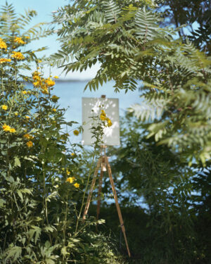 Alec Soth. A Pound of Pictures — изображение 2
