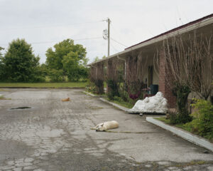 Alec Soth. A Pound of Pictures — изображение 9