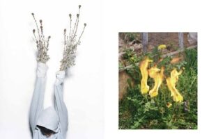 Ecal Photography — изображение 2