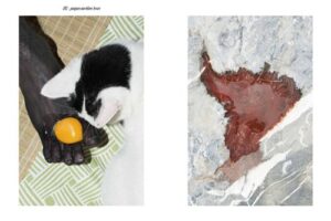 Ecal Photography — изображение 9
