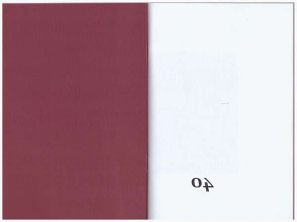 Герман Роберг. 40. zine
