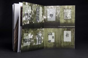 BUFFANTGARDE — изображение 5