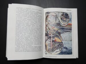 Павел Карпов. Творчество душевнобольных и его влияние на развитие науки, искусства и техники — изображение 4