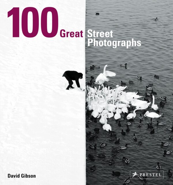 David Gibson. 100 Great Street Photographs