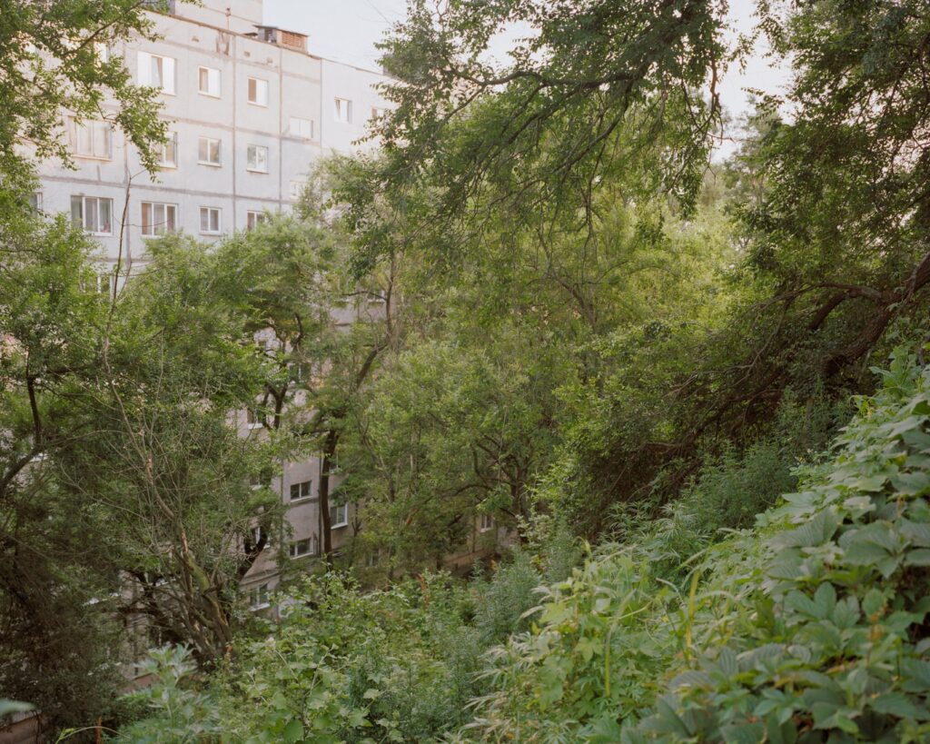 Анастасия Цайдер. Аркадия. Владивосток