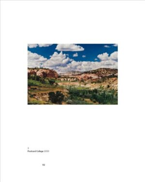 Sherrie Levine. Pairs and Posses — изображение 4