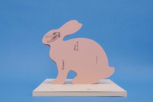 Евгений Антуфьев, Любовь Налогина. Смерть / Death — изображение 6
