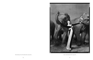Richard Avedon. Relationships — изображение 2