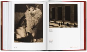 Alfred Stieglitz. Camera Work: The Complete Photographs 1903-1917 — изображение 6