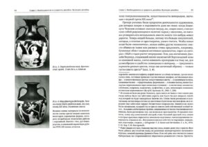 Т. Быстрова. Вещь, форма, стиль. Введение в философию дизайна — изображение 5