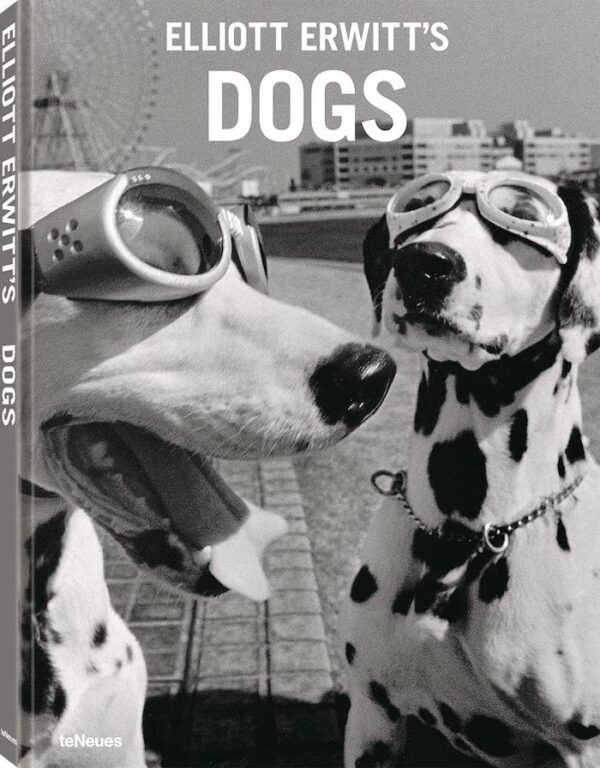Elliott Erwitt. Dogs