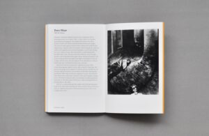 Women Photographers: Pioneers (1851-1936) — изображение 2