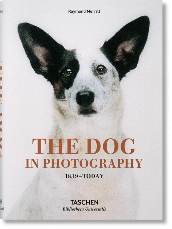 The Dog in Photography. 1839-Today