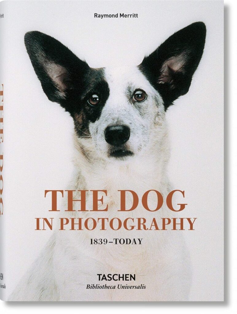 The Dog in Photography. 1839-Today