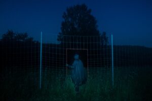 Евгений Молодцов. Вепсский лес III — изображение 2