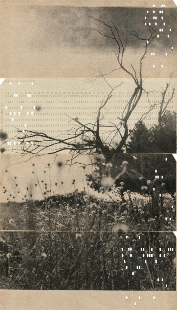 Виталий Северов. Memories of Future VII. 18,7×32,8